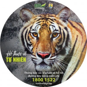 Sticker Hổ thuộc về tự nhiên