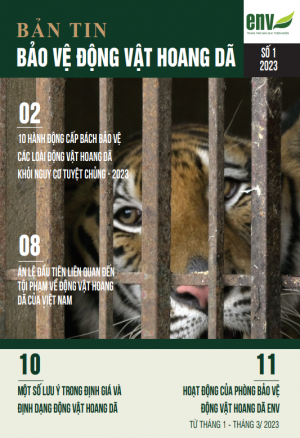 Bản tin số 01/2023