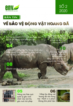 Bản tin số 2/2020