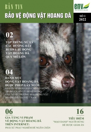 Bản tin số 01/2022