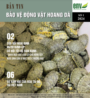 Bản tin số 1/2024