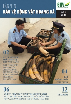 Bản tin số 01/2021