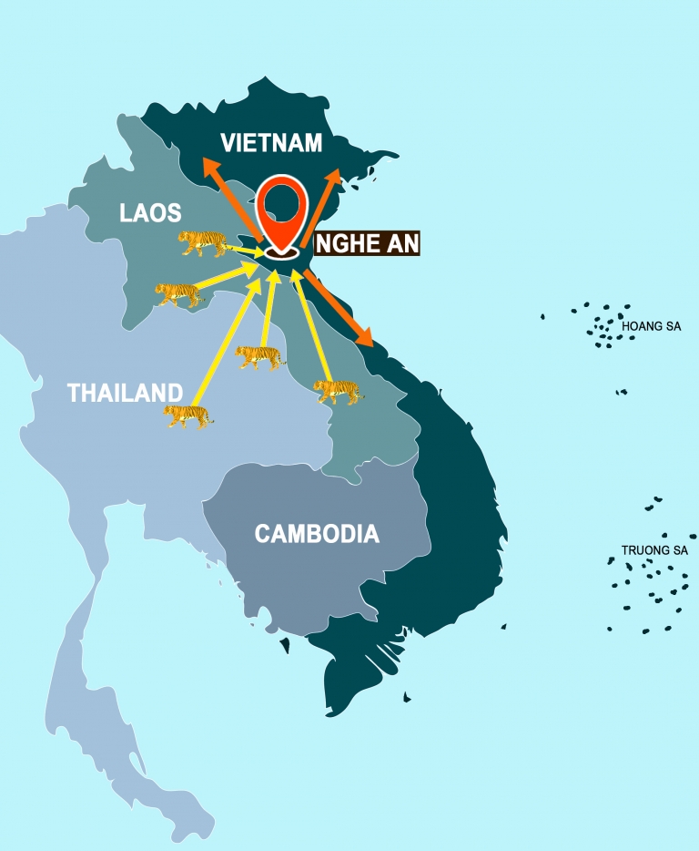 KHÔNG NÊN KHOAN NHƯỢNG VỚI CÁC ĐỐI TƯỢNG BUÔN BÁN HỔ TRÁI PHÉP TẠI NGHỆ AN