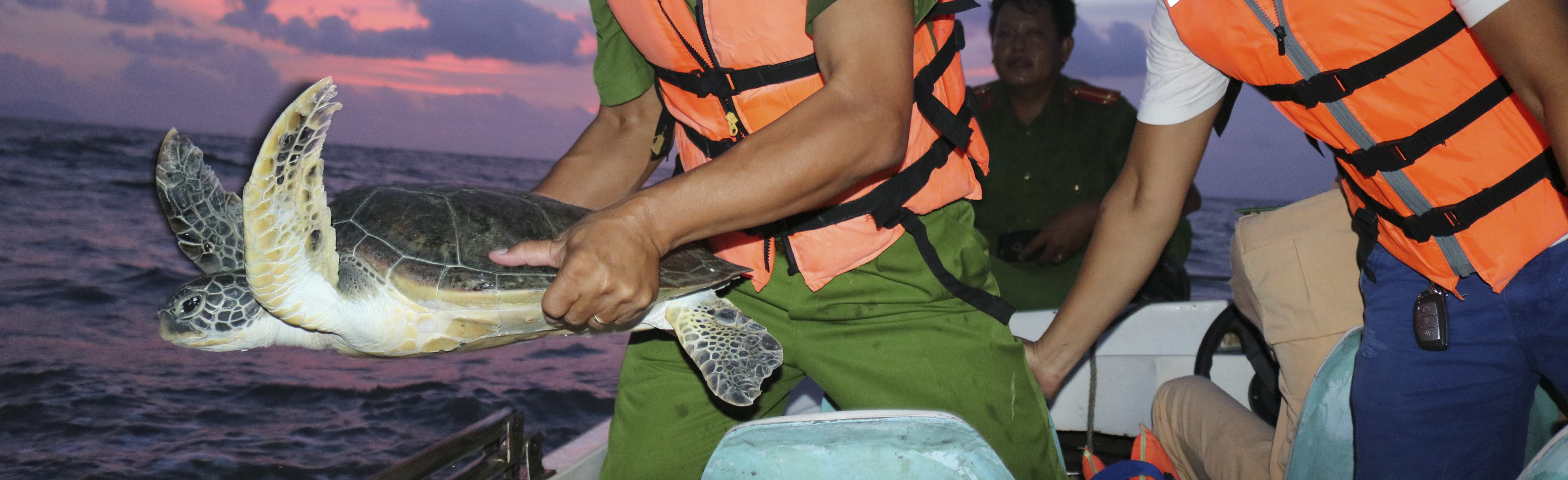 Giải cứu động vật hoang dã 