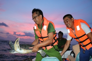 Giải cứu động vật hoang dã 