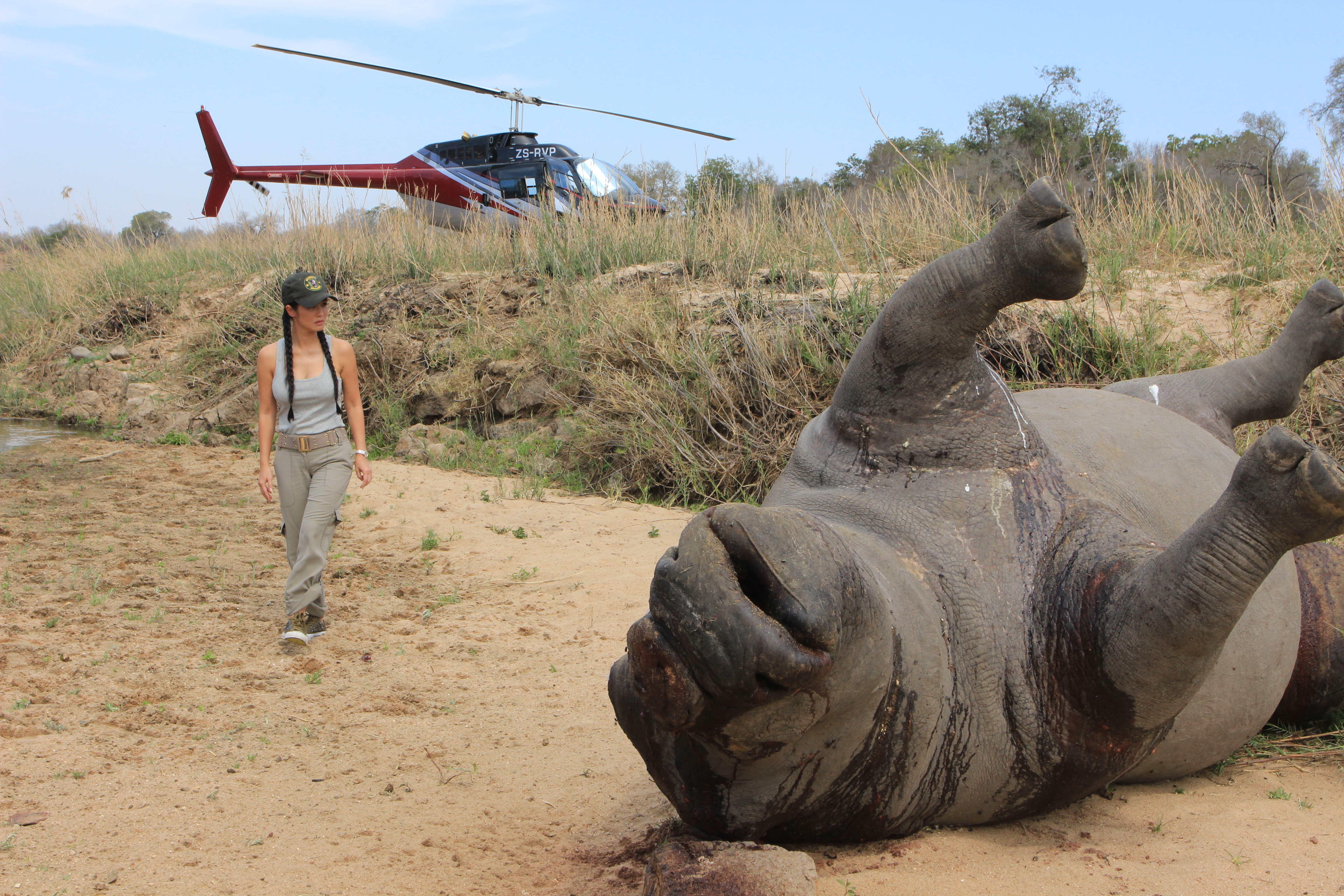 Chiến Dịch Bảo Vệ Tê Giác Chiến Dịch Bảo Vệ Tê Giác